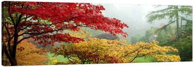 Autumn Landscape II, Butchart Gardens, Brentwood Bay, Vancouver Island, British Columbia, Canada Canvas Art Print - Nature Panoramics