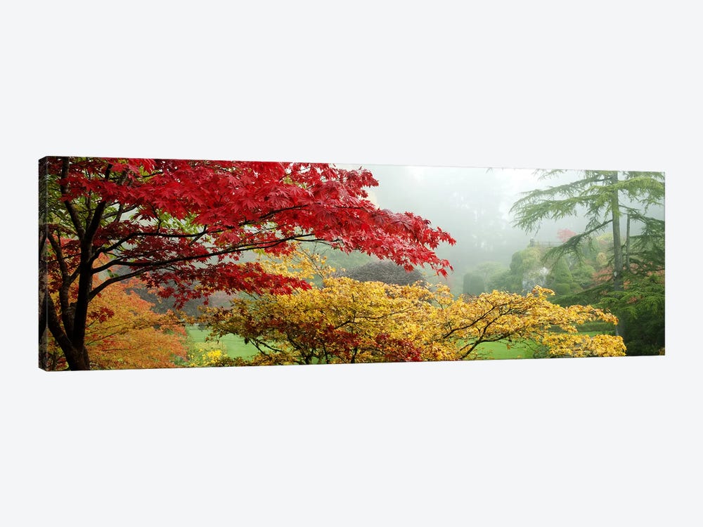 Autumn Landscape II, Butchart Gardens, Brentwood Bay, Vancouver Island, British Columbia, Canada by Panoramic Images 1-piece Canvas Art Print