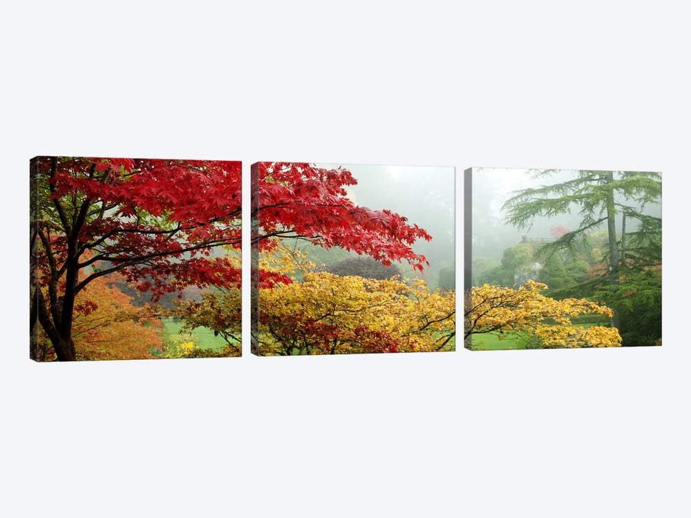Autumn Landscape II, Butchart Gardens, Brentwood Bay, Vancouver Island, British Columbia, Canada by Panoramic Images 3-piece Canvas Print