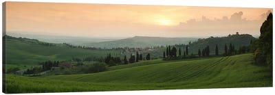 Countryside Landscape, Monticchiello, Val d'Orcia, Siena Province, Tuscany, Italy Canvas Art Print - Vineyard Art