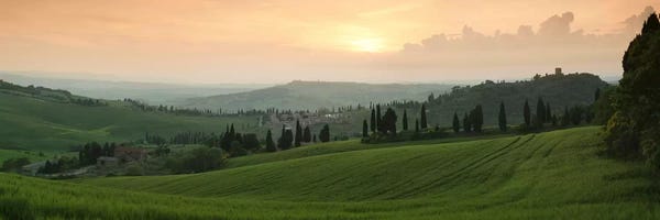Vineyards: Countryside Landscape, Monticchiello, Val d'Orcia, Siena Province, Tuscany, Italy by Panoramic Images