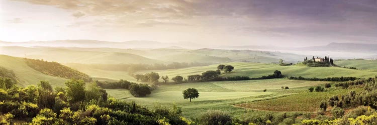 Misty Countryside Landscape, San Quirico d'Orcia, Val d'Orcia, Siena Province, Tuscany, Italy