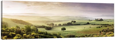 Misty Countryside Landscape, San Quirico d'Orcia, Val d'Orcia, Siena Province, Tuscany, Italy Canvas Art Print - Vineyard Art