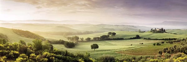 Vineyards: Misty Countryside Landscape, San Quirico d'Orcia, Val d'Orcia, Siena Province, Tuscany, Italy by Panoramic Images