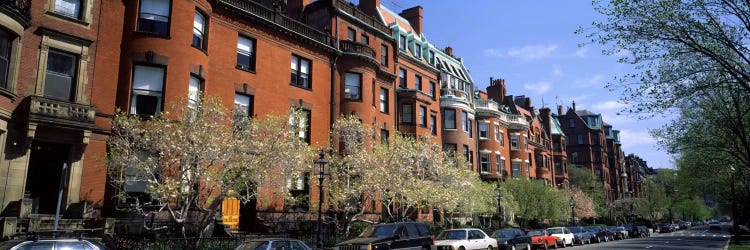 Buildings in a streetCommonwealth Avenue, Boston, Suffolk County, Massachusetts, USA