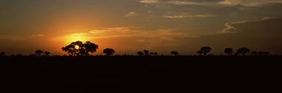 Majestic Sunset Over A Savannah Landscape, Kruger National Park, South Africa by Panoramic Images acrylic art print