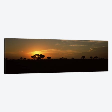 Majestic Sunset Over A Savannah Landscape, Kruger National Park, South Africa Canvas Print #PIM9480} by Panoramic Images Canvas Artwork