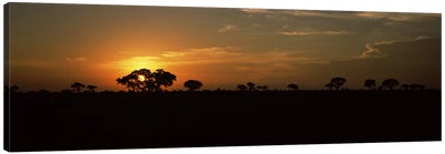 Majestic Sunset Over A Savannah Landscape, Kruger National Park, South Africa Canvas Art Print - South Africa