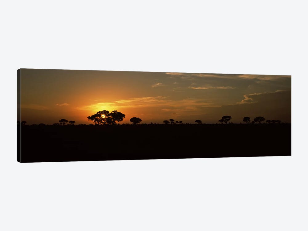 Majestic Sunset Over A Savannah Landscape, Kruger National Park, South Africa by Panoramic Images 1-piece Canvas Wall Art