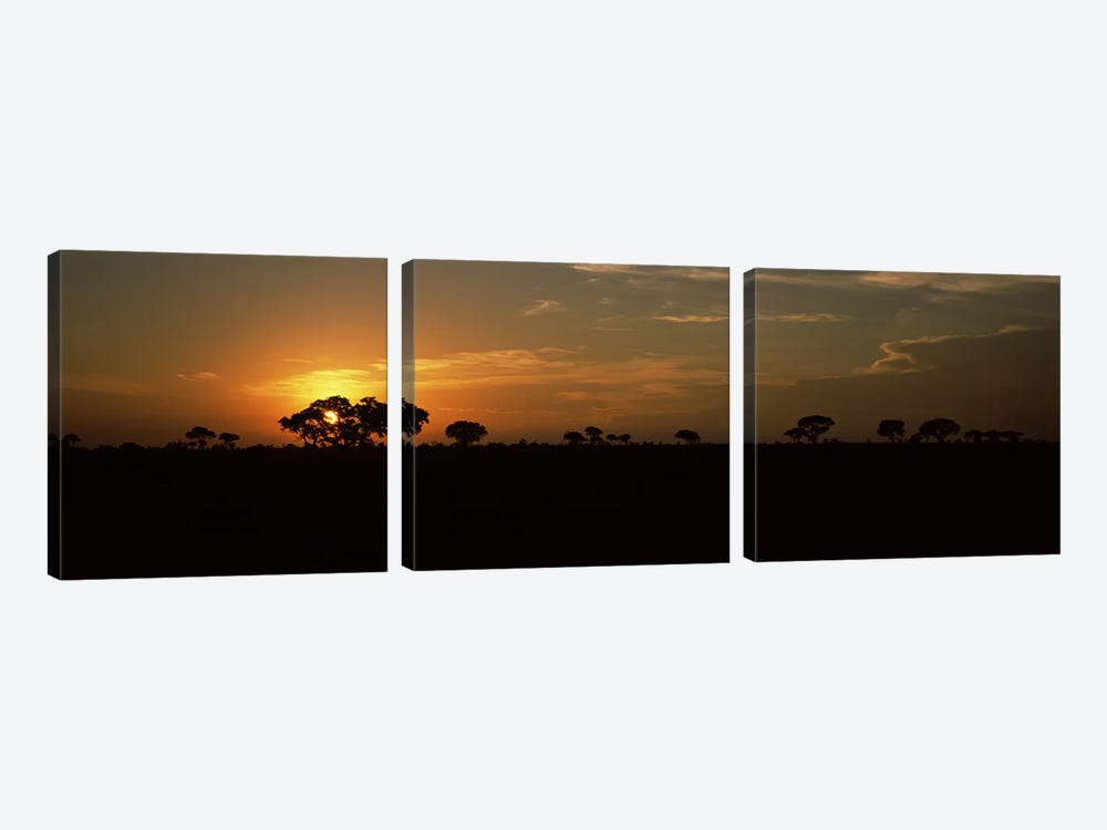Majestic Sunset Over A Savannah Landscape, Kruger National Park, South Africa 3-piece Canvas Art