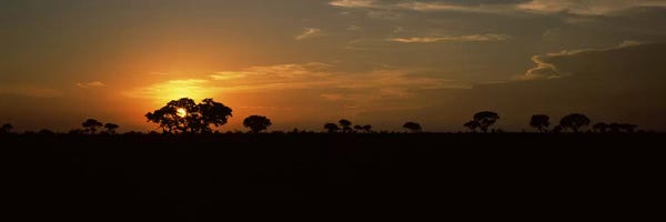 Majestic Sunset Over A Savannah Landscape, Kruger National Park, South Africa