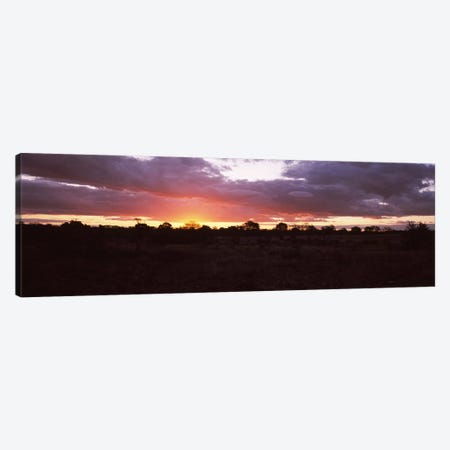 Sunset over the savannah plains, Kruger National Park, South Africa Canvas Print #PIM9481} by Panoramic Images Canvas Wall Art