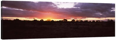 Sunset over the savannah plains, Kruger National Park, South Africa Canvas Art Print - South Africa