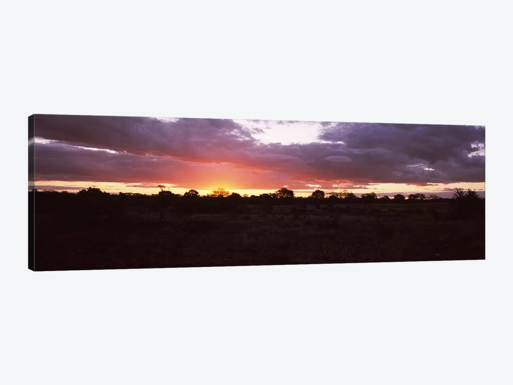 Sunset over the savannah plains, Kruger National Park, South Africa by Panoramic Images 1-piece Art Print