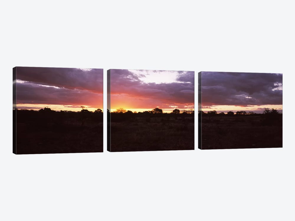 Sunset over the savannah plains, Kruger National Park, South Africa by Panoramic Images 3-piece Art Print