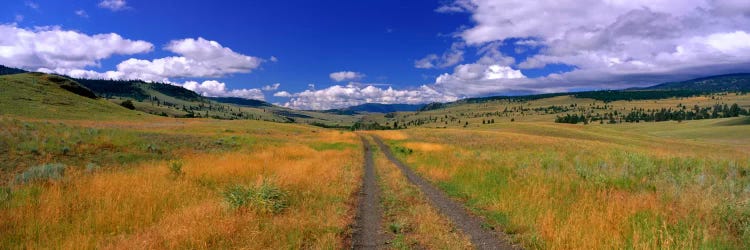 Cattle Ranch Road near Merritt British Columbia Canada