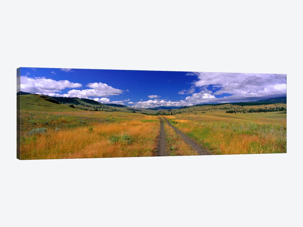 Cattle Ranch Road near Merritt British Columbia Canada by Panoramic Images 1-piece Canvas Art Print