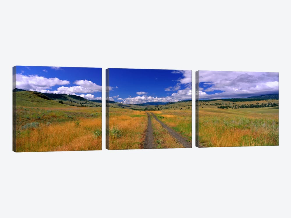 Cattle Ranch Road near Merritt British Columbia Canada by Panoramic Images 3-piece Canvas Art Print