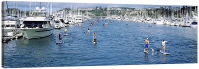 Paddleboarders in the Pacific Ocean, Dana Point, Orange County, California, USA #3 Canvas Art Print - Harbor & Port Art