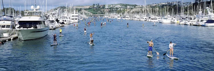 Paddleboarders in the Pacific Ocean, Dana Point, Orange County, California, USA #3