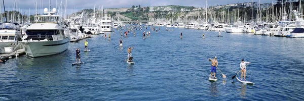 Harbors: Paddleboarders in the Pacific Ocean, Dana Point, Orange County, California, USA #3 by Panoramic Images