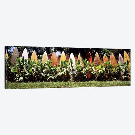 Surfboard fence in a garden, Maui, Hawaii, USA Canvas Print #PIM9563} by Panoramic Images Canvas Art Print