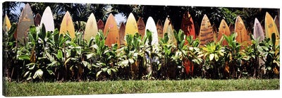 Surfboard fence in a garden, Maui, Hawaii, USA Canvas Art Print - Maui