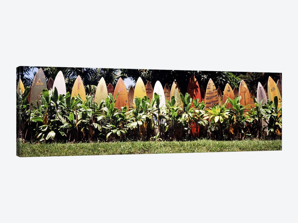 Surfboard fence in a garden, Maui, Hawaii, USA by Panoramic Images 1-piece Canvas Art