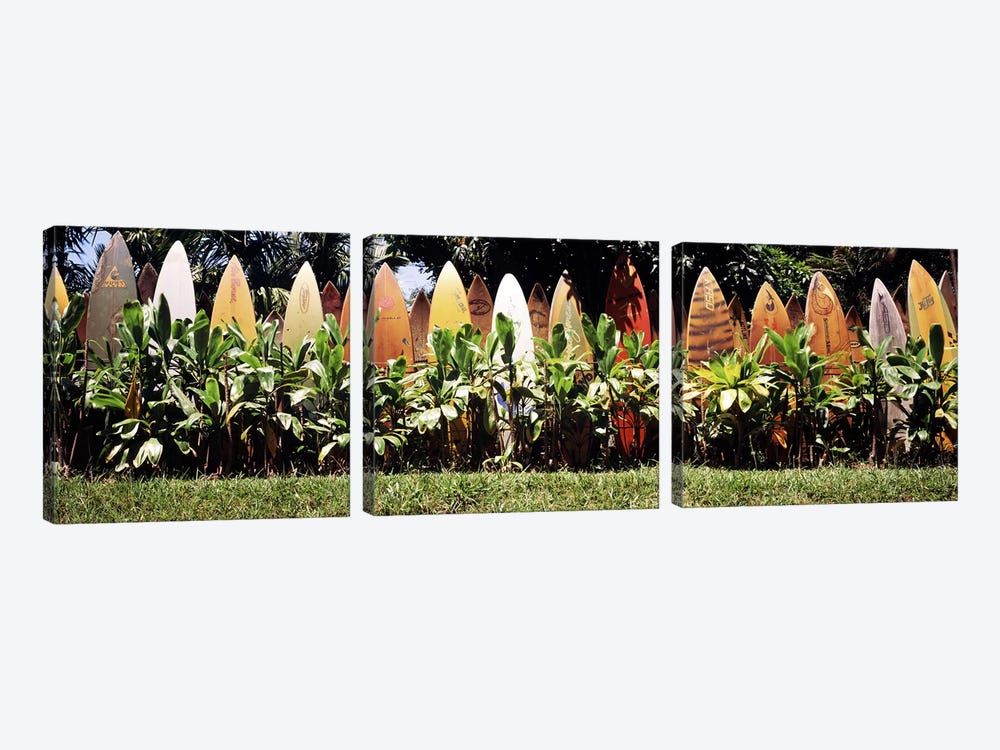 Surfboard fence in a garden, Maui, Hawaii, USA by Panoramic Images 3-piece Canvas Artwork