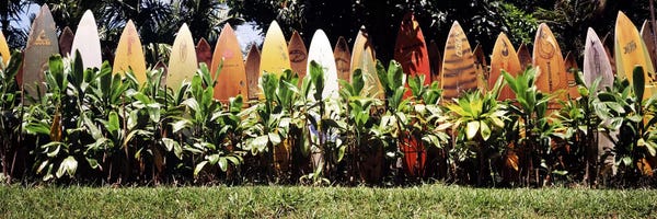 Hawaii: Surfboard fence in a garden, Maui, Hawaii, USA by Panoramic Images