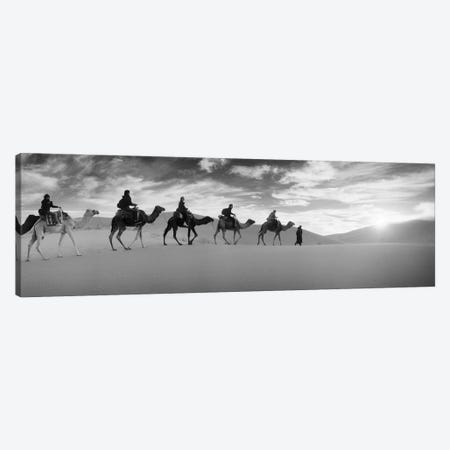 Tourists riding camels through the Sahara Desert landscape led by a Berber man, Morocco Canvas Print #PIM9589} by Panoramic Images Art Print