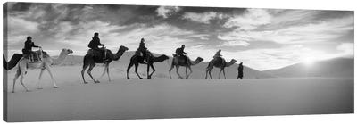 Tourists riding camels through the Sahara Desert landscape led by a Berber man, Morocco Canvas Art Print