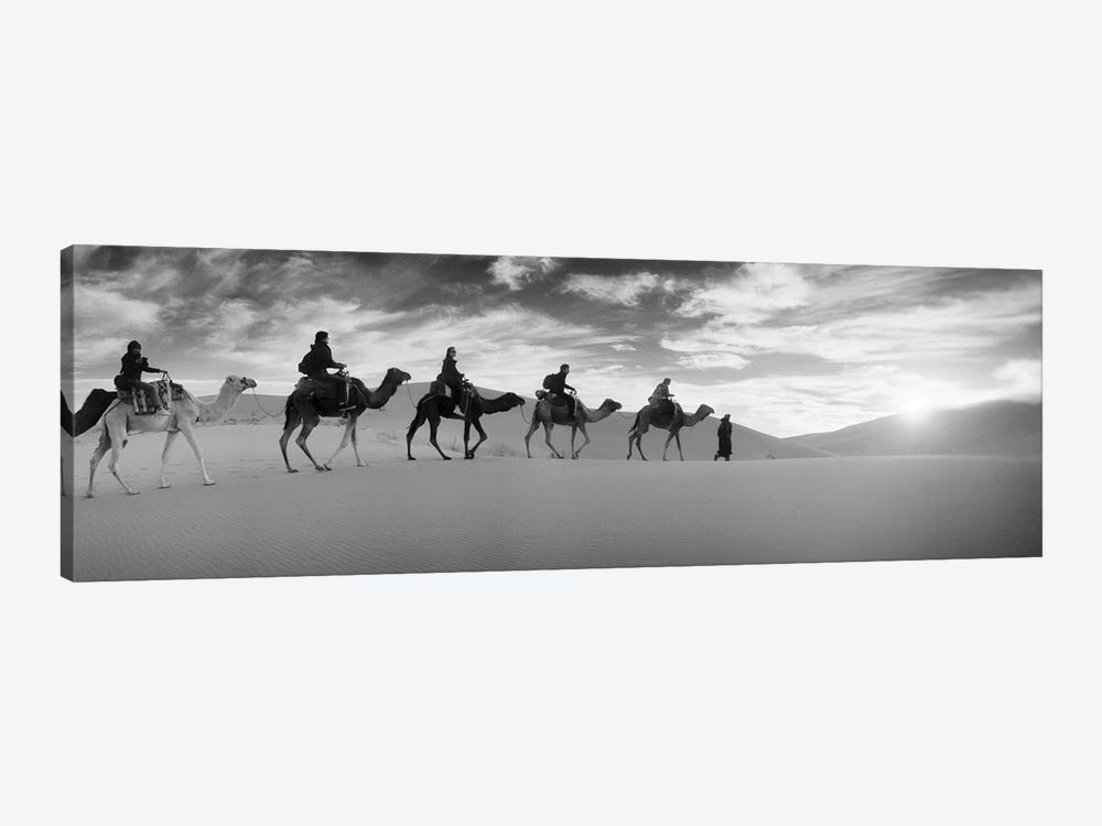 Tourists riding camels through the Sahara Desert landscape led by a Berber man, Morocco by Panoramic Images 1-piece Canvas Art