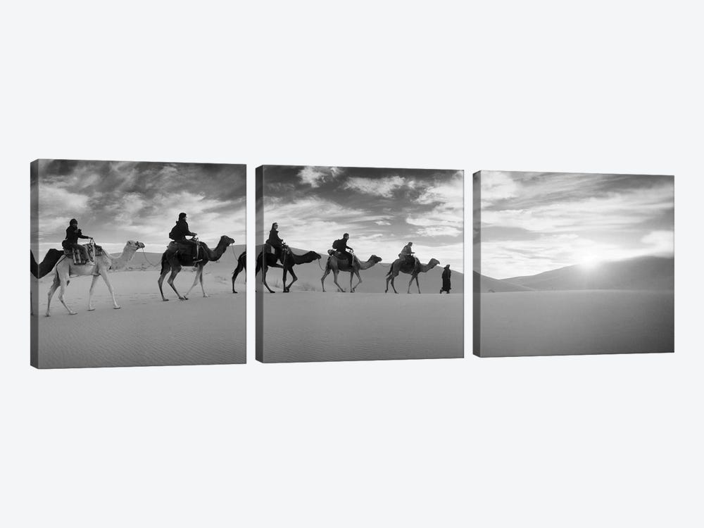 Tourists riding camels through the Sahara Desert landscape led by a Berber man, Morocco by Panoramic Images 3-piece Canvas Artwork