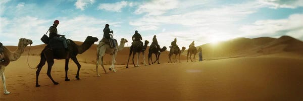 Camels: Tourists riding camels through the Sahara Desert landscape led by a Berber man, Morocco #2 by Panoramic Images