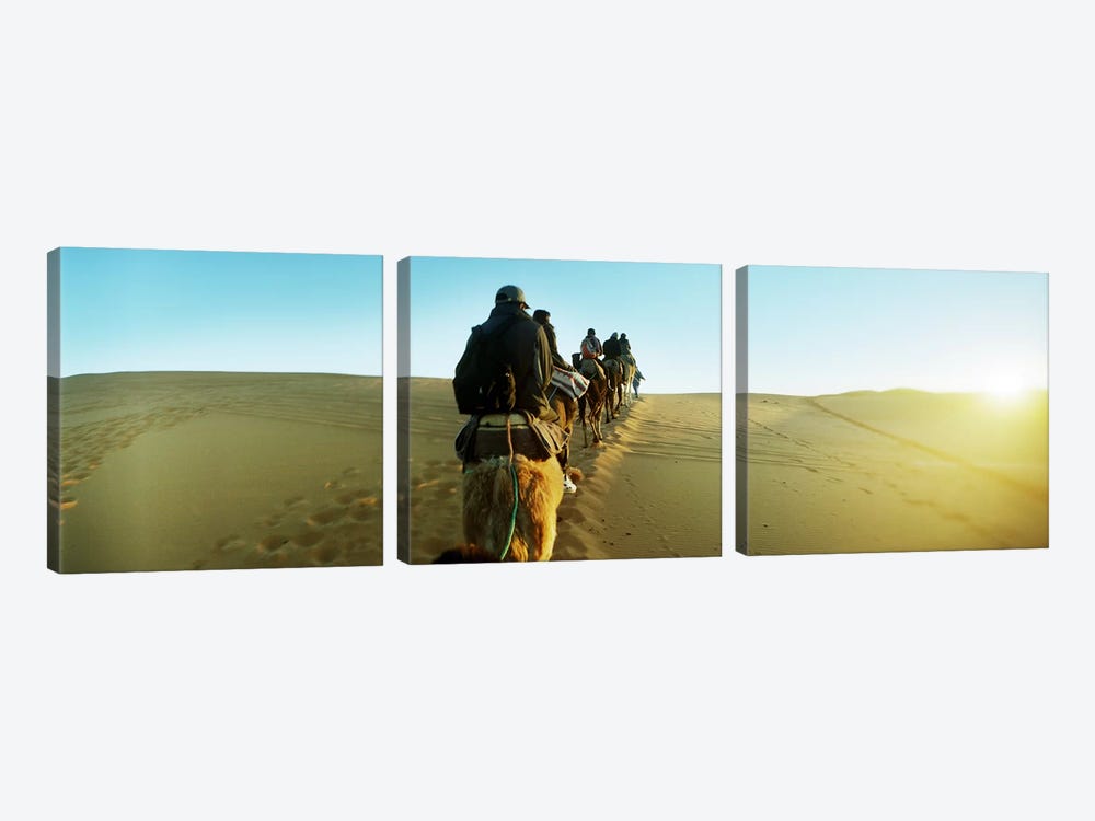 Row of people riding camels through the desert, Sahara Desert, Morocco by Panoramic Images 3-piece Art Print