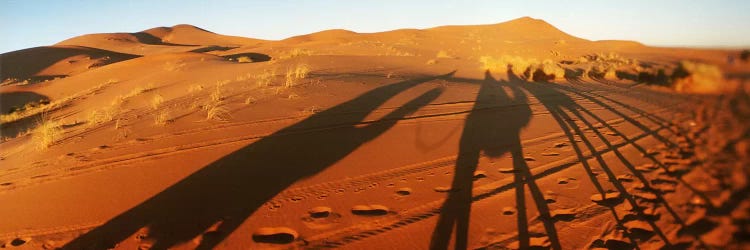 Shadows of camel riders in the desert at sunset, Sahara Desert, Morocco