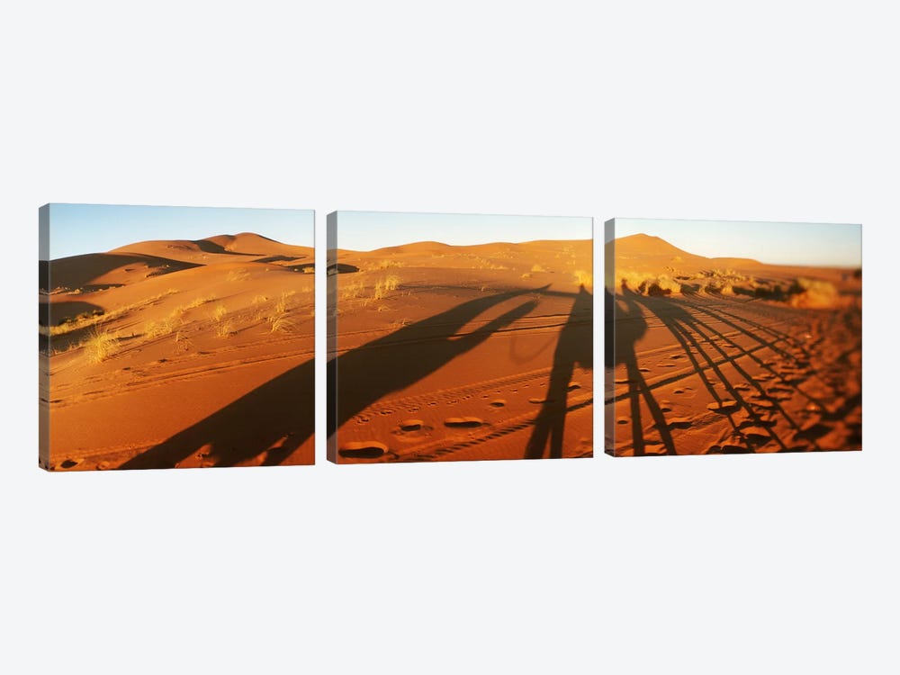Shadows of camel riders in the desert at sunset, Sahara Desert, Morocco by Panoramic Images 3-piece Canvas Wall Art