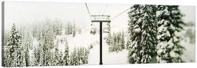 Chair lift and snowy evergreen trees at Stevens PassWashington State, USA Canvas Art Print - Snowy Mountain Art