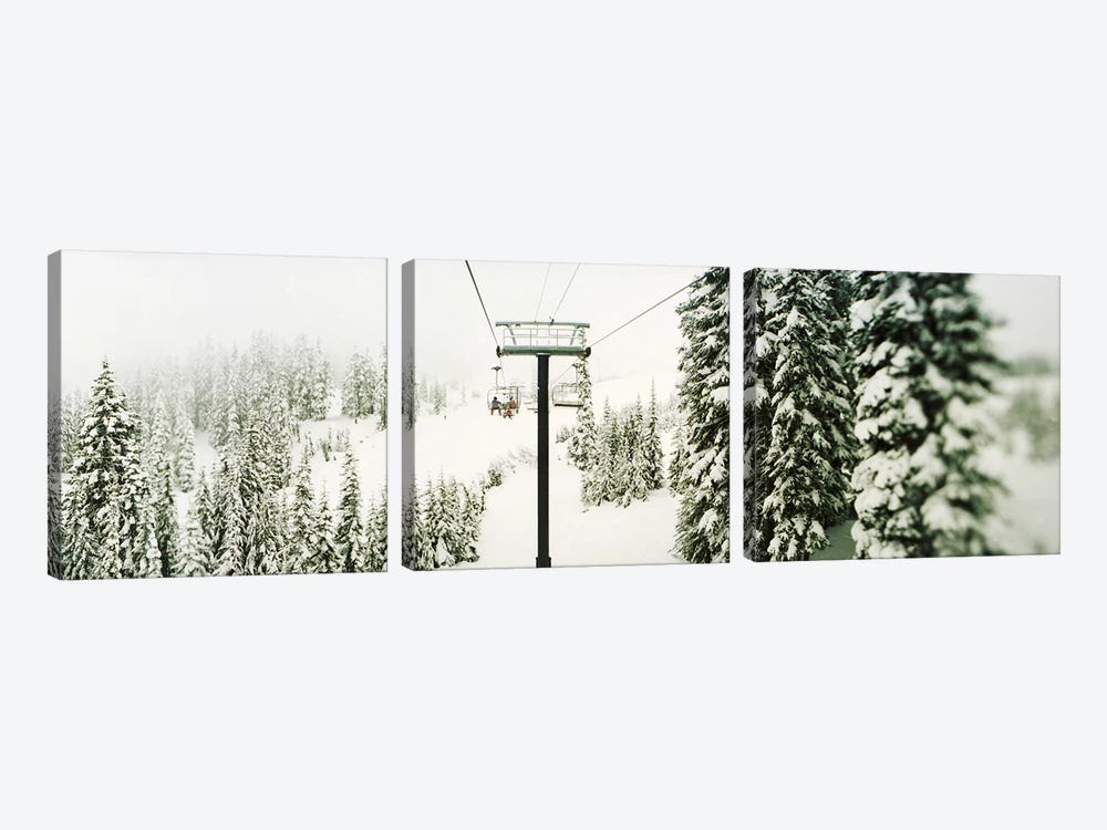 Chair lift and snowy evergreen trees at Stevens PassWashington State, USA by Panoramic Images 3-piece Art Print