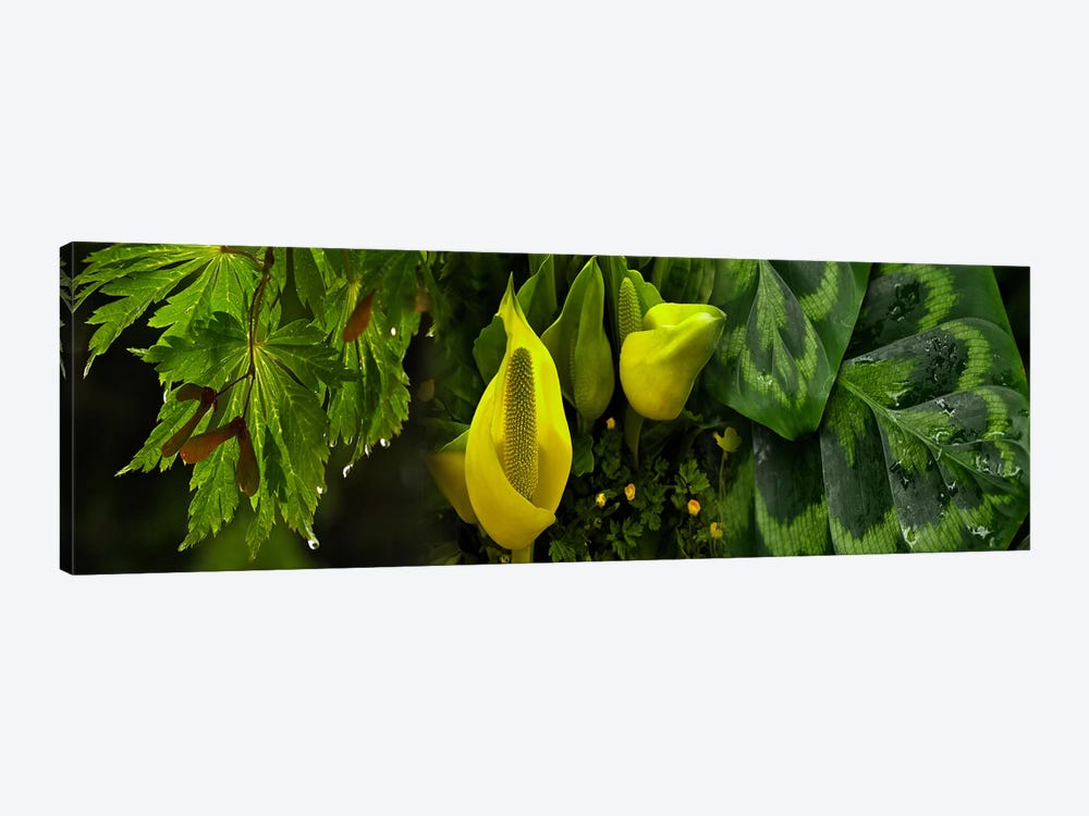 Leaves and flowers by Panoramic Images 1-piece Canvas Artwork