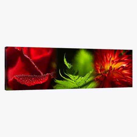 Leaves and flowers Canvas Print #PIM9617} by Panoramic Images Canvas Wall Art