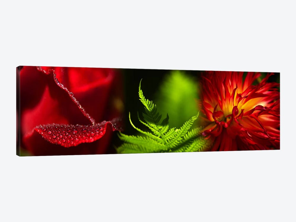 Leaves and flowers by Panoramic Images 1-piece Canvas Print