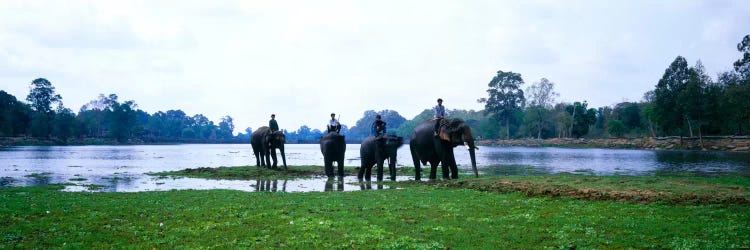 Siem Reap River & Elephants Angkor Vat Cambodia by Panoramic Images wall art
