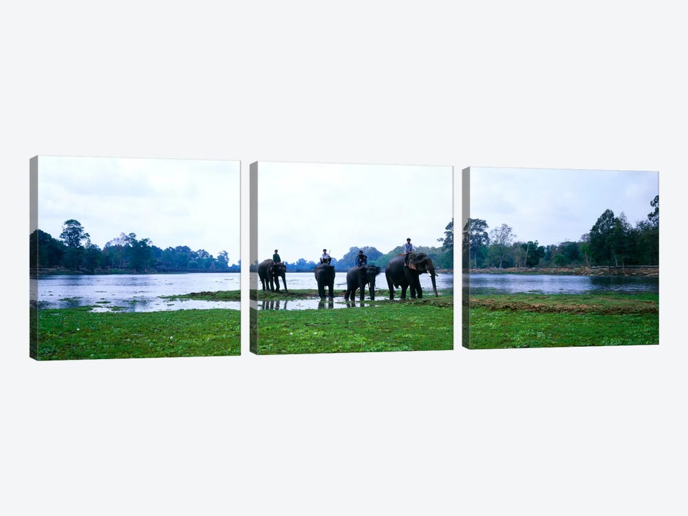 Siem Reap River & Elephants Angkor Vat Cambodia by Panoramic Images 3-piece Art Print