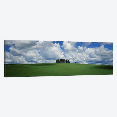 Trees on the top of a hill, Palouse, Whitman County, Washington State, USA Canvas Print #PIM9663} by Panoramic Images Canvas Artwork