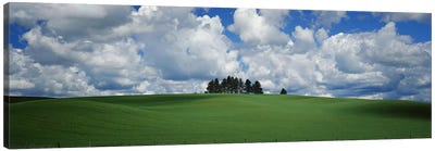 Trees on the top of a hill, Palouse, Whitman County, Washington State, USA Canvas Art Print - Spring Art