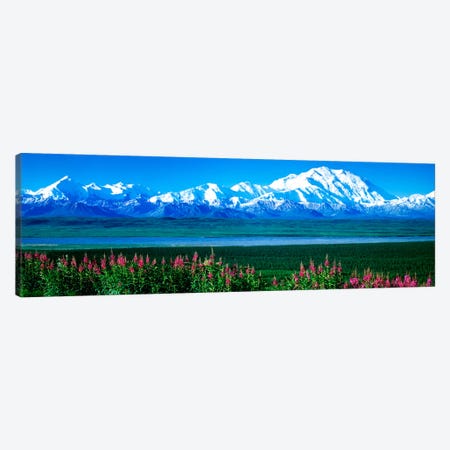 Mountains & Lake Denali National Park AK USA Canvas Print #PIM966} by Panoramic Images Canvas Artwork