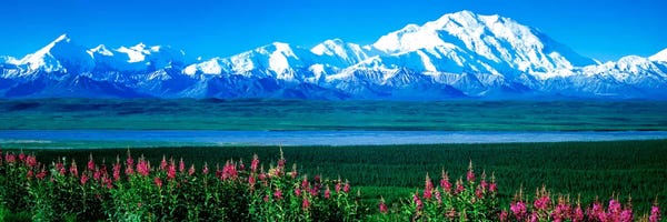 Panoramic Images: Mountains & Lake Denali National Park AK USA by Panoramic Images