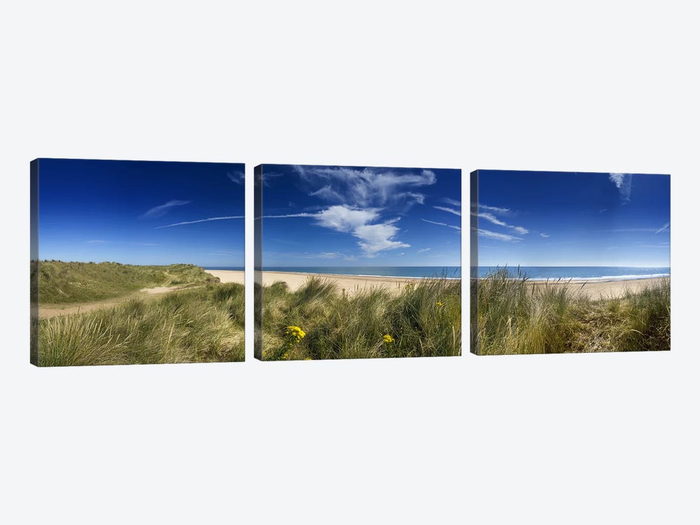 Marram Grassdunes and beach, Winterton-on-Sea, Norfolk, England by Panoramic Images 3-piece Canvas Art Print